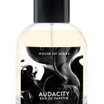 عطر ادکلن اودَسیتی هاوس آو جیمز - Audacity House Of James - بررسی، قیمت و خرید