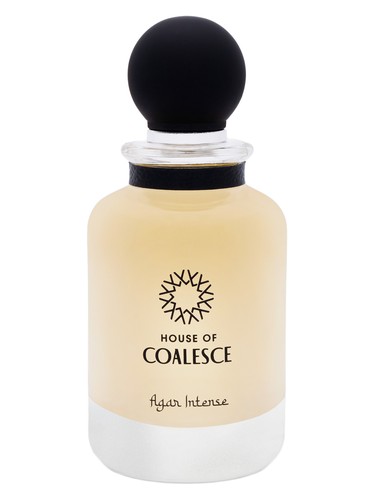 عطر ادکلن اگر اینتنس هاوس آو کئولس - Agar Intense House of Coalesce - بررسی، قیمت و خرید