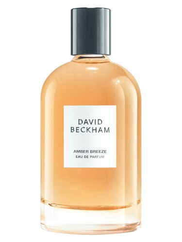 عطر ادکلن امبر بریز دیوید بکهام - Amber Breeze David Beckham - بررسی، قیمت و خرید