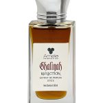 عطر ادکلن غالیه رفلکشن دیکزیت اَند زَک - Ghaliyah Reflection Dixit & Zak - بررسی، قیمت و خرید