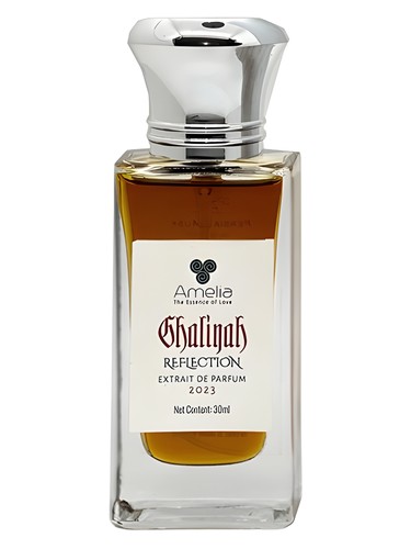 عطر ادکلن غالیه رفلکشن دیکزیت اَند زَک - Ghaliyah Reflection Dixit & Zak - بررسی، قیمت و خرید