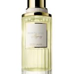 عطر ادکلن وایت لینن لِگِسی استی لادر - White Linen Legacy Estée Lauder - بررسی، قیمت و خرید