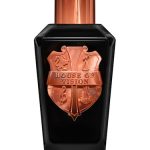 عطر ادکلن فورتی‌تیود هاوس آف ویژن - Fortitude House Of Vision - بررسی، قیمت و خرید
