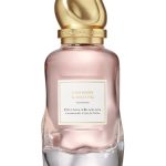 عطر ادکلن کشمر اند وایلد فیگ دونا کارن - Cashmere & Wild Fig Donna Karan - بررسی، قیمت و خرید