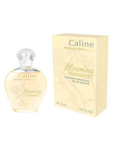 عطر ادکلن کالین بلومینگ مومنتس گره - Caline Blooming Moments Grès - بررسی، قیمت و خرید
