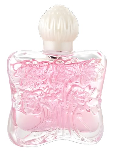 عطر ادکلن پری رز دلیکاد - Pretty Rose Delikad - بررسی، قیمت و خرید