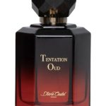 عطر ادکلن تنتیشن عود دایان کاستل - Tentaion Oud Diane Castel - بررسی، قیمت و خرید