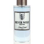 عطر ادکلن سیلور ولف دایان کاستل - Silver Wolf Diane Castel - بررسی، قیمت و خرید