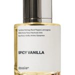 عطر ادکلن اسپایسی وانیلا داکیومنت - Spicy Vanilla Dossier - بررسی، قیمت و خرید