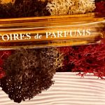 عطر ادکلن آمبر 114 هیستوار دو پارفوم - Ambre 114 Histoires de Parfums - بررسی، قیمت و خرید