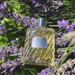عطر ادکلن اُ ساواژ فرَشِر کوییر دیور - Eau Sauvage Fraicheur Cuir Dior - بررسی، قیمت و خرید