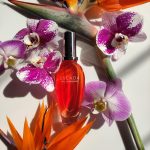 عطر ادکلن بالی پارادایس اسکادا - Bali Paradise Escada - بررسی، قیمت و خرید