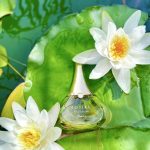 عطر ادکلن ایدیل او سوبلیم گرلن - Idylle Eau Sublime Guerlain - بررسی، قیمت و خرید