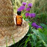عطر ادکلن ژول دیور - Jules Dior - بررسی، قیمت و خرید