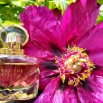 عطر ادکلن بیوتیفول بل استی لودر - Beautiful Belle Estée Lauder - بررسی، قیمت و خرید