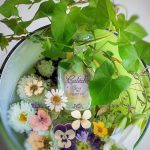 عطر ادکلن کالِش سُوا د پارفوم ارمِس - Caleche Soie de Parfum Hermès - بررسی، قیمت و خرید