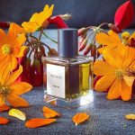 عطر ادکلن نارسیس هندلی پرفیومز - Narcis Hendley Perfumes - بررسی، قیمت و خرید
