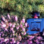 عطر ادکلن اود تاچ فرانک اولیویه - Oud Touch Franck Olivier - بررسی، قیمت و خرید