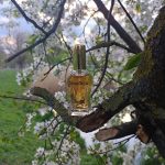 عطر ادکلن سیمپتیجا دزینتارس - Simpātija (Sympathy) Dzintars - بررسی، قیمت و خرید