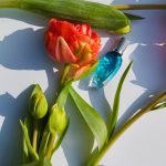 عطر ادکلن بورن این پردایس اسکادا - Born in Paradise Escada - بررسی، قیمت و خرید