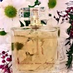عطر ادکلن الکساندری مون آمور ژرژ رش - Alexandrie mon Amour Georges Rech - بررسی، قیمت و خرید