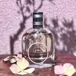 عطر ادکلن اودو پرفیوم کاملیا اکلتان دورنس ان پرووانس - Eau de Parfum Camélia Eclatant Durance en Provence - بررسی، قیمت و خرید