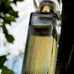 عطر ادکلن اسپل باند اِستی لادر - SpellBound Estée Lauder - بررسی، قیمت و خرید