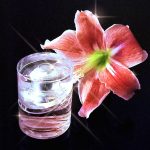 عطر ادکلن فم هوگو باس - Femme Hugo Boss - بررسی، قیمت و خرید