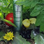 عطر ادکلن تچ می دیواژ - Touch Me! Divage - بررسی، قیمت و خرید