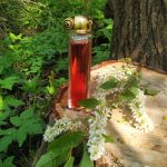 عطر ادکلن اورگانزا ژیوانشی - Organza Givenchy - بررسی، قیمت و خرید