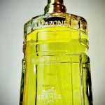 عطر ادکلن آمازون ارمِس - Amazone (1974) Hermès - بررسی، قیمت و خرید