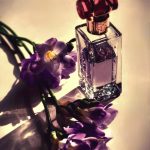 عطر ادکلن جویفول اِسکادا - Joyful Escada - بررسی، قیمت و خرید