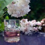 عطر ادکلن فم هوگو باس - Femme Hugo Boss - بررسی، قیمت و خرید