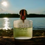 عطر ادکلن آکوا دی ژو جیورجیو آرمانی - Acqua di Gio Giorgio Armani - بررسی، قیمت و خرید
