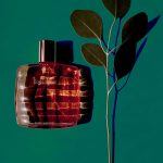 عطر ادکلن برازیل دریم استی لودر - Brasil Dream Estée Lauder - بررسی، قیمت و خرید