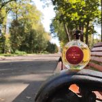 عطر ادکلن اونلی فور هیم هیاری پارفومز - Only For Him Hayari Parfums - بررسی، قیمت و خرید