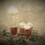عطر ادکلن کریاتور ژیل کنتول - Créature Gilles Cantuel - بررسی، قیمت و خرید