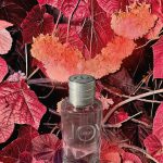 عطر ادکلن جوی بای دیور دیور - Joy by Dior Dior - بررسی، قیمت و خرید