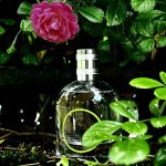 عطر ادکلن او دو پرفیوم پتیلانته وروین دورنس ان پرووانس - Eau de Parfum Pétillante Verveine Durance en Provence - بررسی، قیمت و خرید