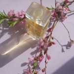 عطر ادکلن اینتوییشن استی لادر - Intuition Estée Lauder - بررسی، قیمت و خرید