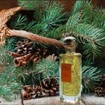 عطر ادکلن کالسکه اِرمِز - Caleche Hermès - بررسی، قیمت و خرید
