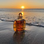 عطر ادکلن دون دیور - Dune Dior - بررسی، قیمت و خرید