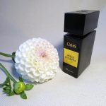 عطر ادکلن آکوا اینکانتا گریتی - Aqua Incanta Gritti - بررسی، قیمت و خرید
