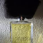 عطر ادکلن پیوجیا مودراتا فیلیپو سورسینلی - Pioggia Moderata Filippo Sorcinelli - بررسی، قیمت و خرید
