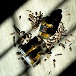 عطر ادکلن د نایت فردریک مال - The Night Frederic Malle - بررسی، قیمت و خرید