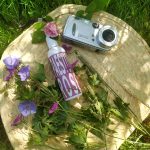 عطر ادکلن پستوم رز اُ دِ ایتالیا - Paestum Rose Eau D'Italie - بررسی، قیمت و خرید