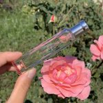 عطر ادکلن هرمسنس میر اگلانتی اِرمِس - Hermessence Myrrhe Eglantine Hermès - بررسی، قیمت و خرید
