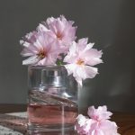 عطر ادکلن فم هوگو باس - Femme Hugo Boss - بررسی، قیمت و خرید
