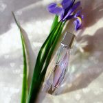 عطر ادکلن گوست دی‌دریم گوست - Ghost Daydream Ghost - بررسی، قیمت و خرید