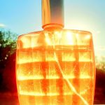 عطر ادکلن برازیل دریم استی لودر - Brasil Dream Estée Lauder - بررسی، قیمت و خرید